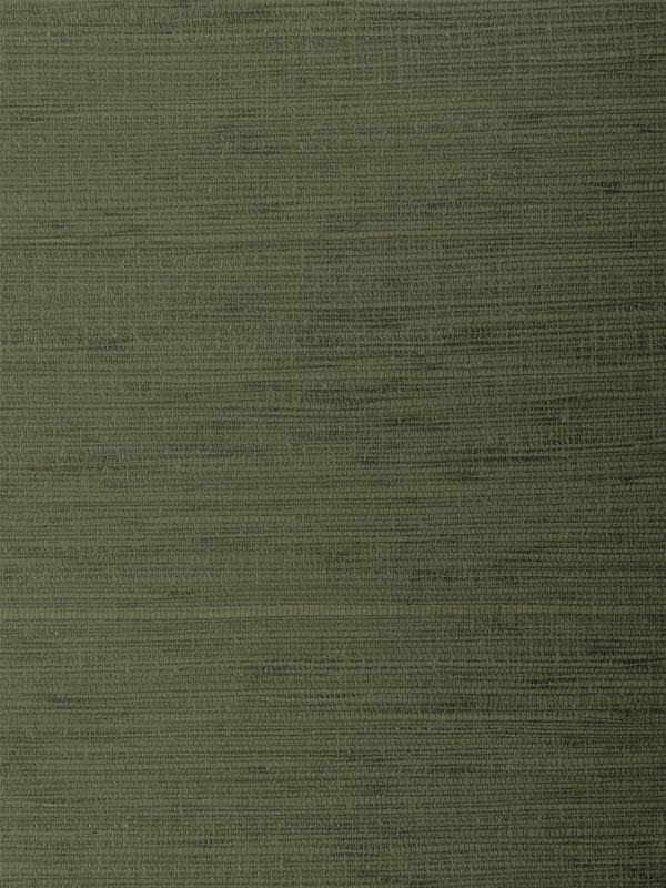 Woven Solid  Grasscloth Wallpaper in Lawn Online