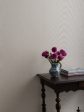 Woven Textures  Grasscloth Wallpaper in Stone Weave Online Sale