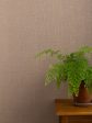 Burlap  Grasscloth Wallpaper in Sisal Hot on Sale