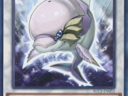 White Aura Dolphin [BLC1-EN052] Common on Sale