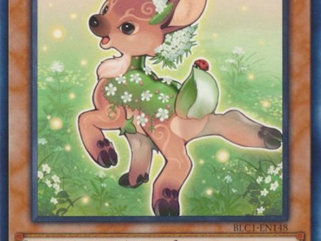 Valerifawn, Mystical Beast of the Forest [BLC1-EN148] Common Sale