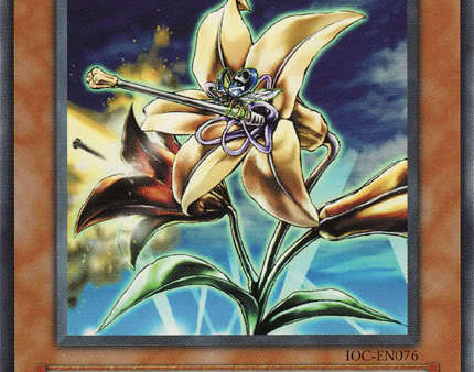 Anti-Aircraft Flower [IOC-EN076] Common Online Sale